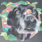 "Pettacular", 8x8, SD Fair